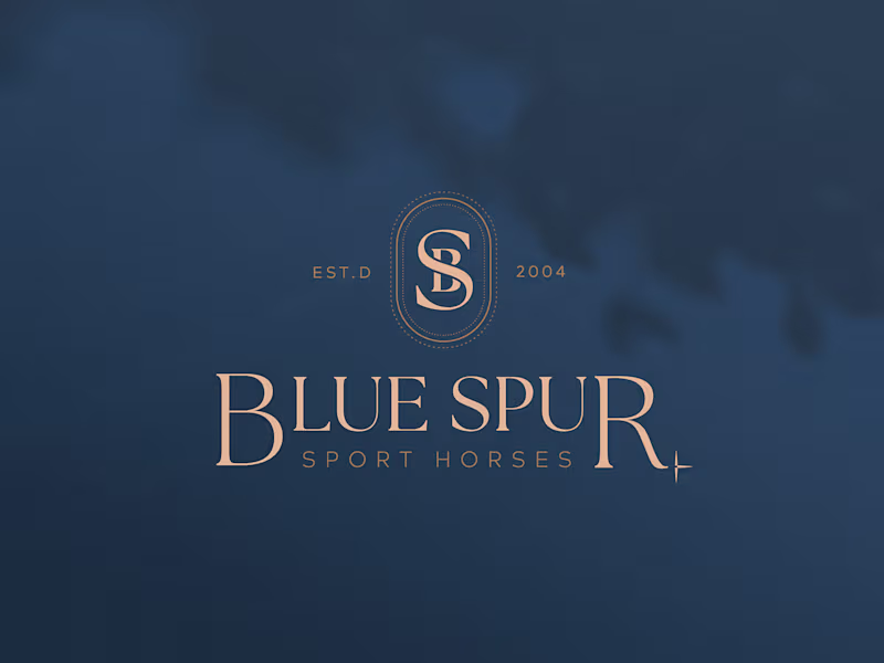 Cover image for [Brand Identity Design] Blue Spur Sport Horses