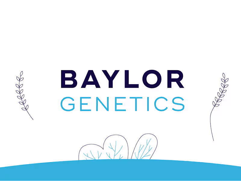 Cover image for Explainer Style Animation