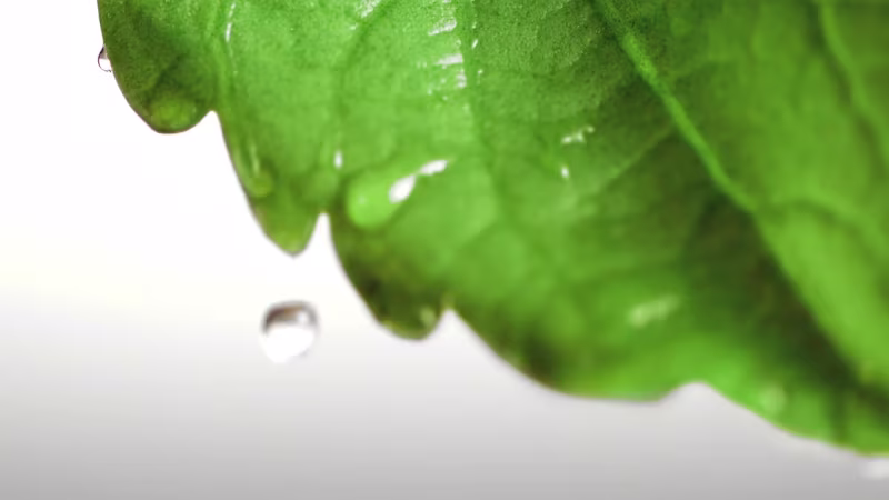 Cover image for Truvia (broadcast commercial)