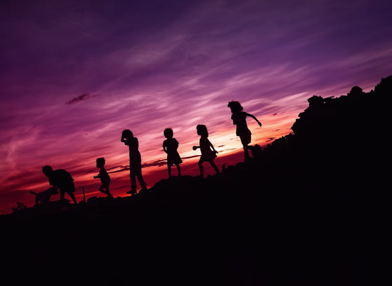 Cover image for Newsletter