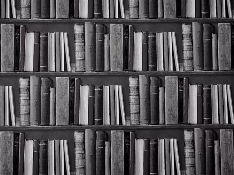 Cover image for Literary Dissection