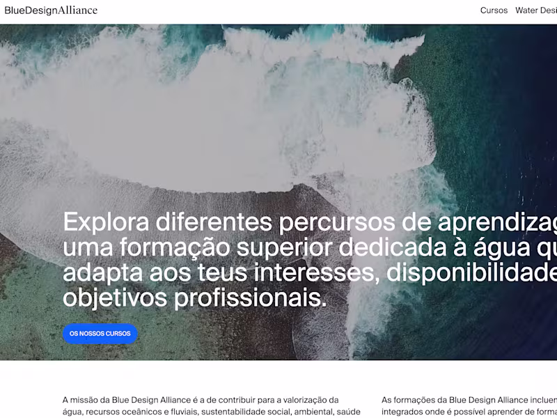 Cover image for Blue Design Alliance