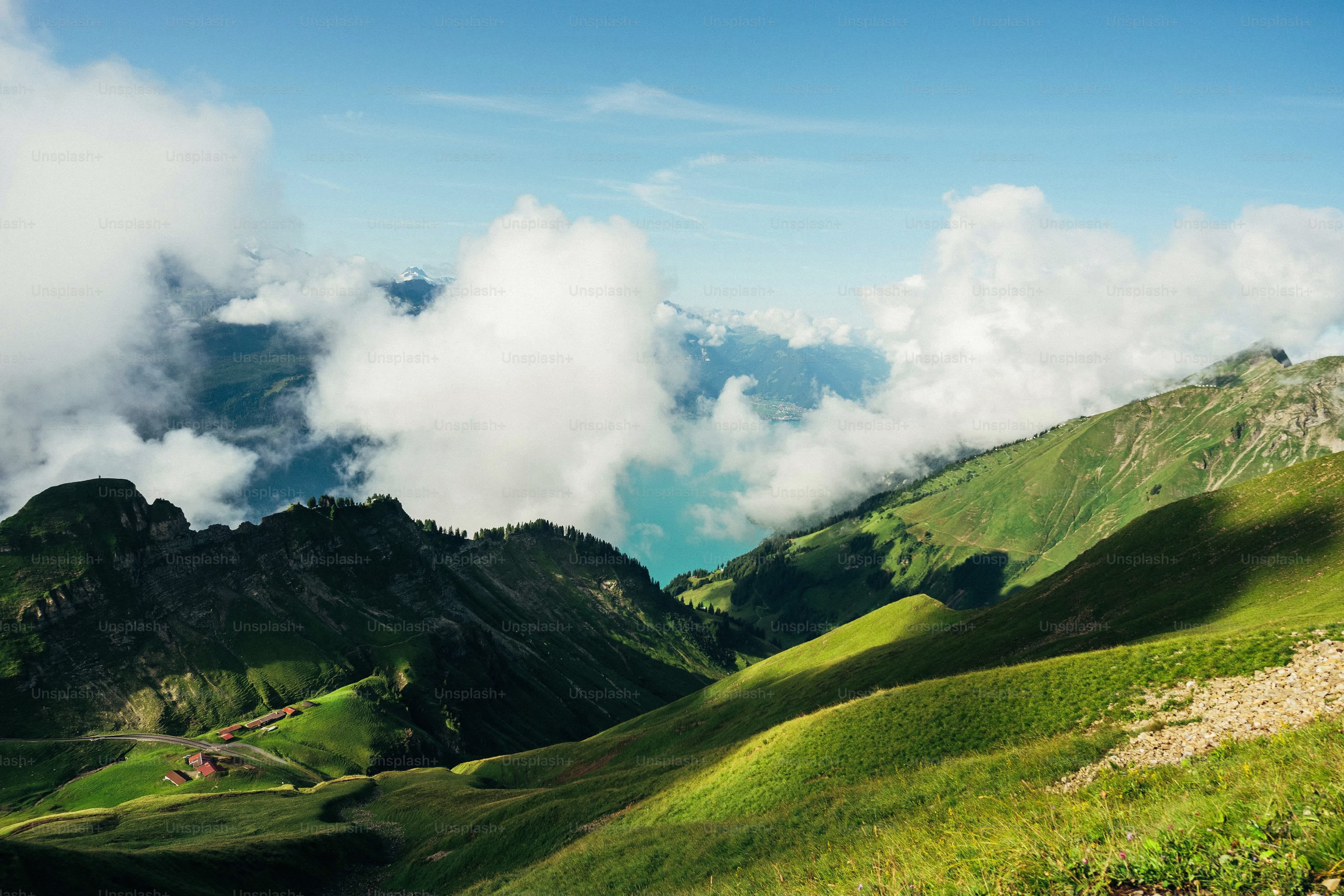 Placeholder project card media