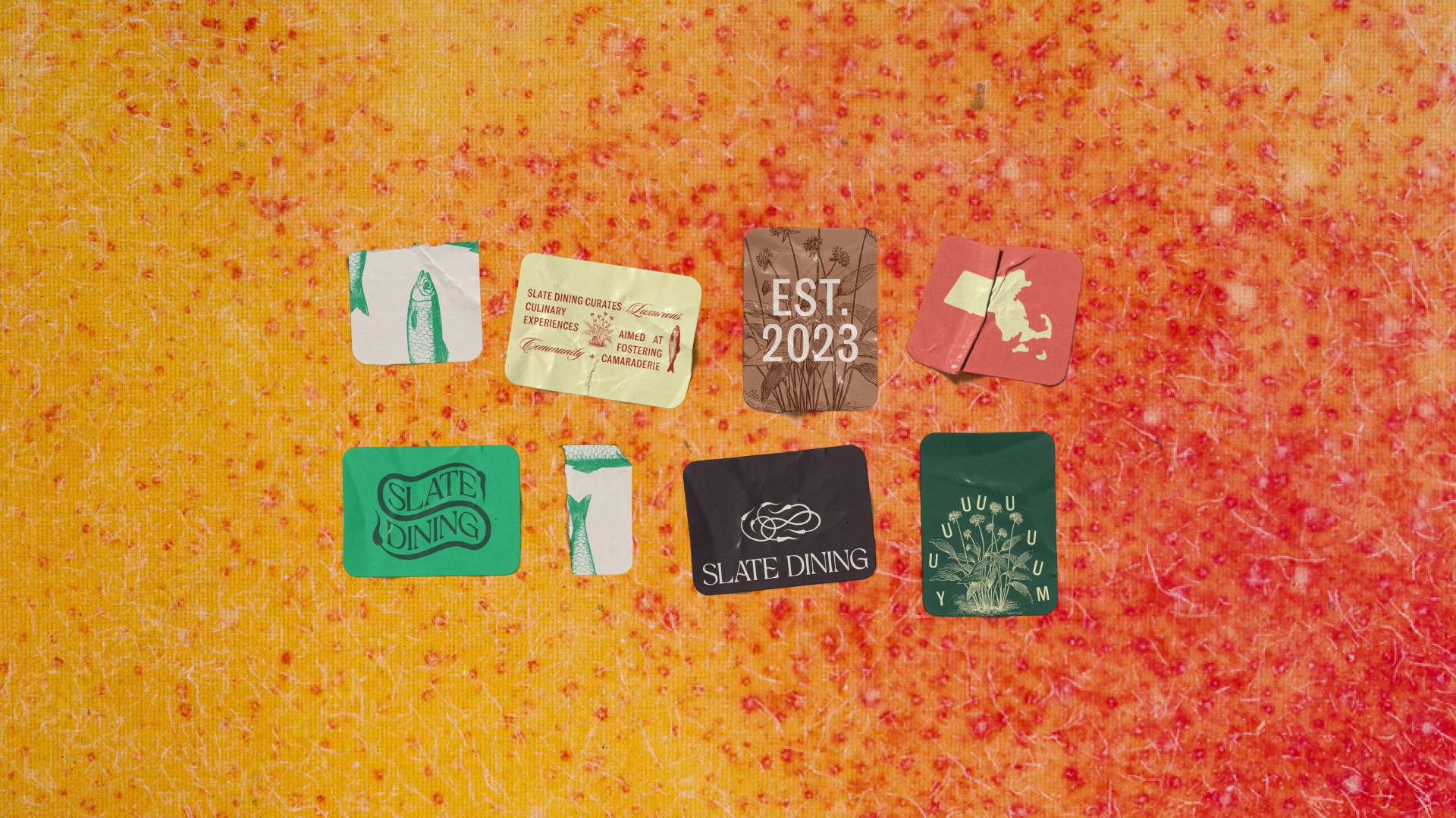 Placeholder project card media