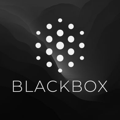 Blackbox AI logo