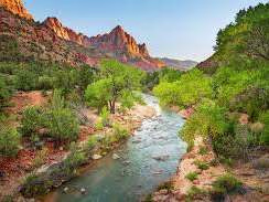 Placeholder project card media