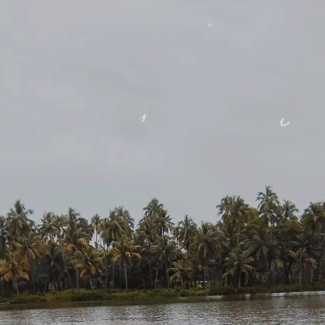 Placeholder project card media