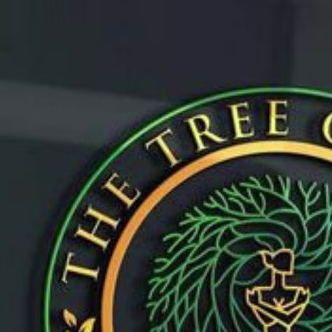 Placeholder project card media