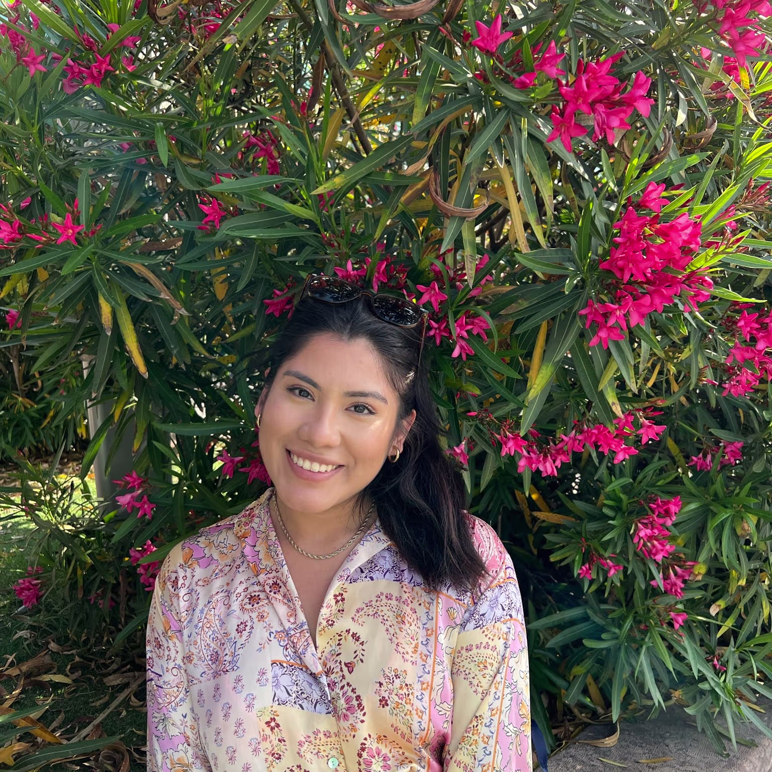 Placeholder project card media