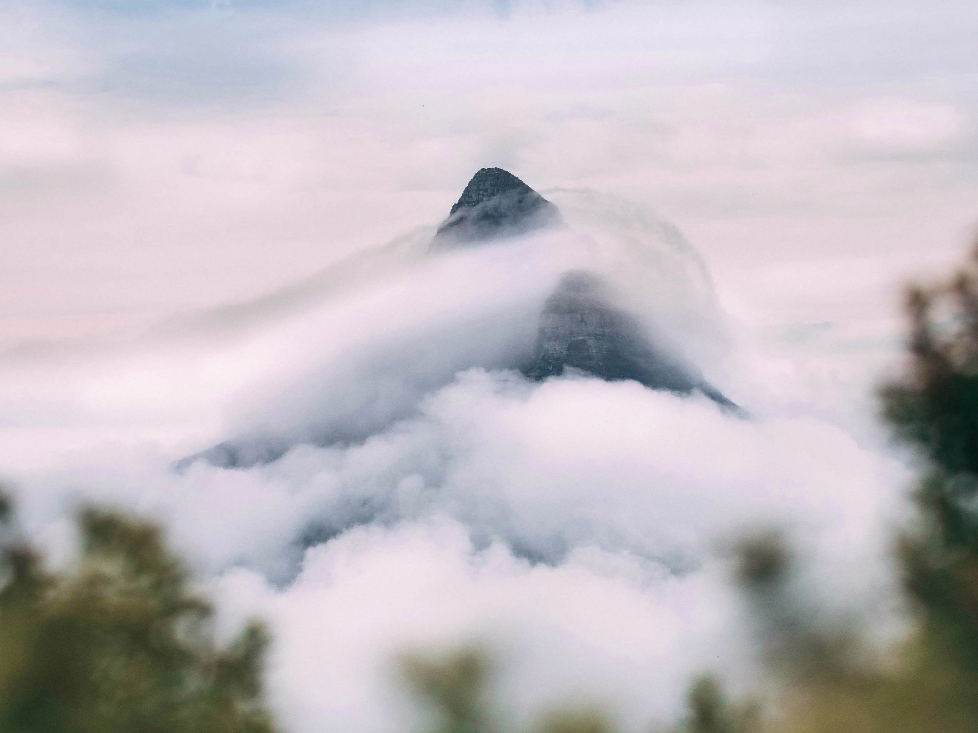 Placeholder project card media