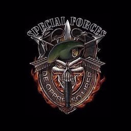 Placeholder project card media