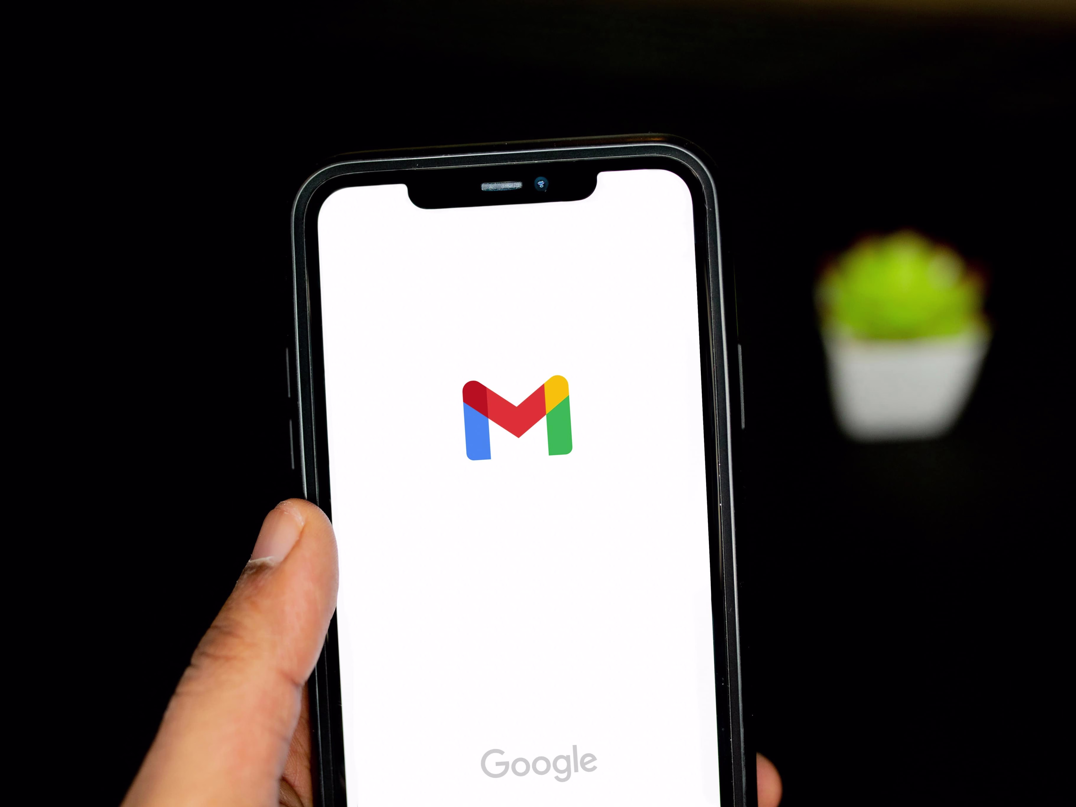 Placeholder project card media