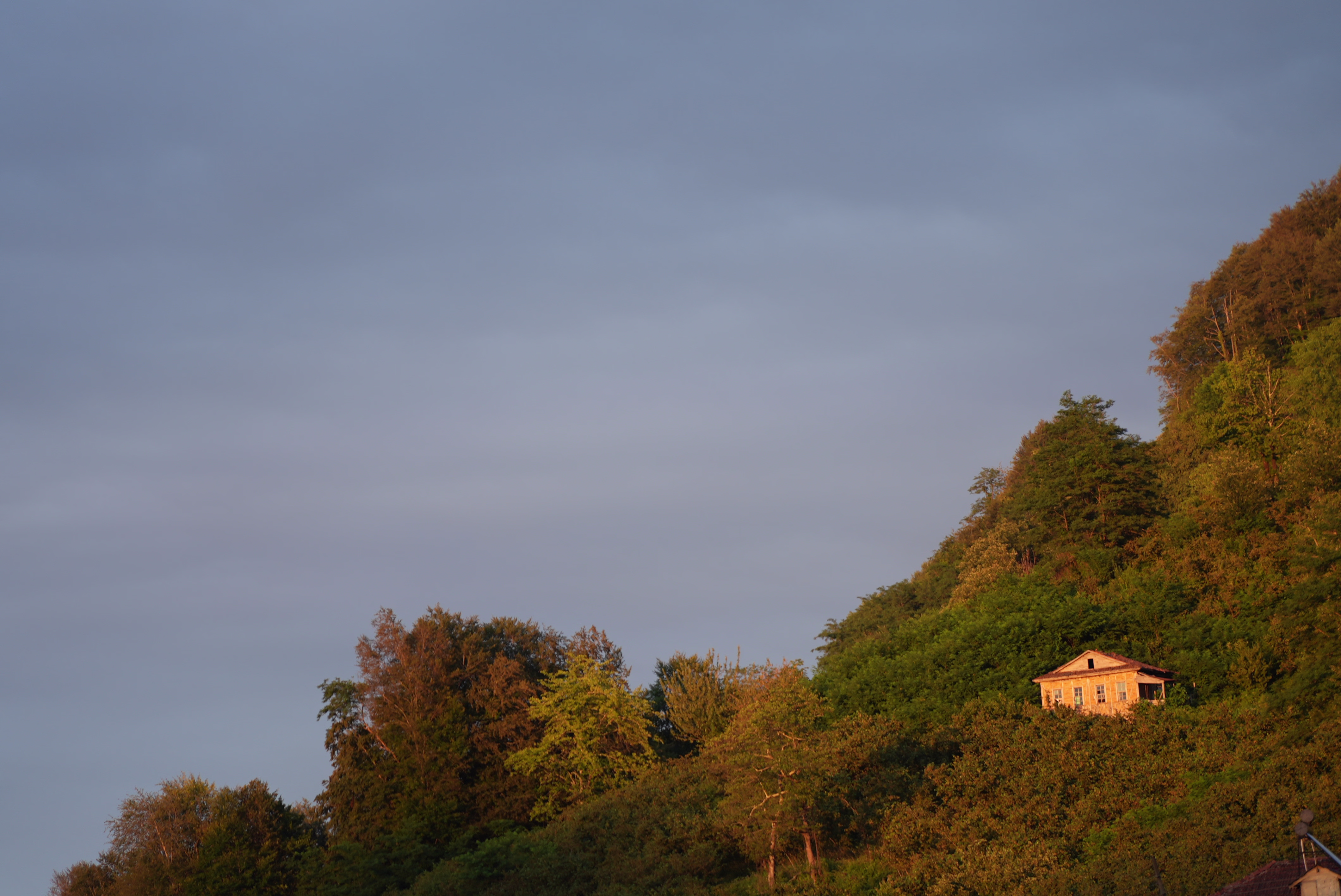 Placeholder project card media