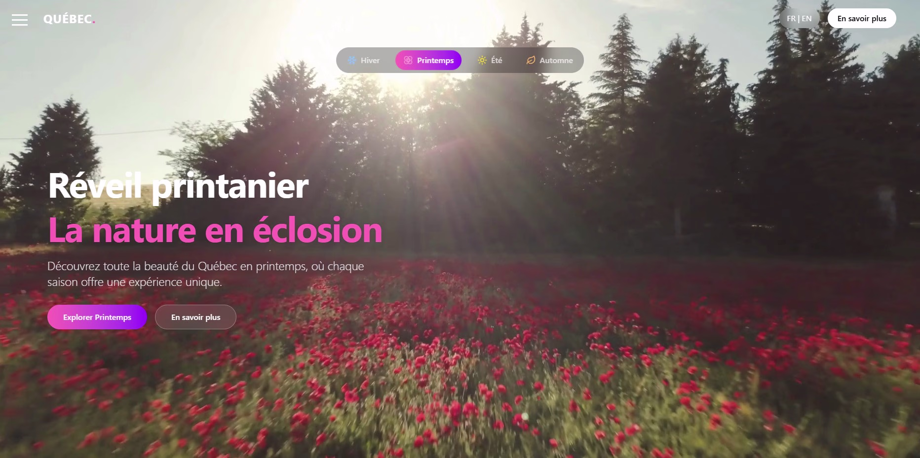 Placeholder project card media