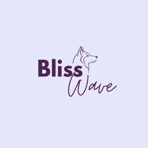 Bliss Wave IT LLC's avatar