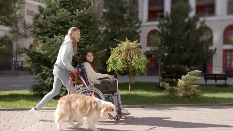 Cover image for "Pleasant Walk in the Park"