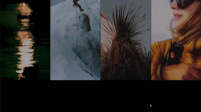 Cover image for Swiss Army Labs - Website