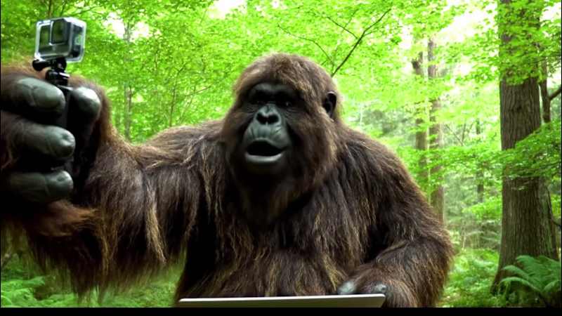 Cover image for Our client wanted a quick and easy way to promote their SAAS...