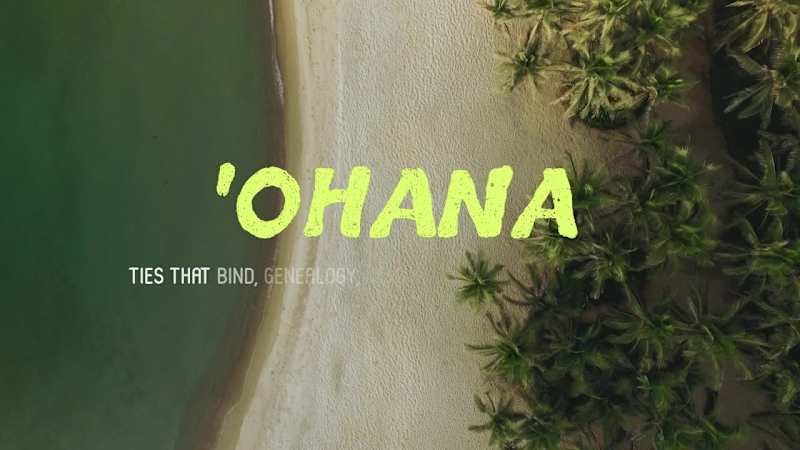 Cover image for Hawaii Tourism Authority: Custom Animated Type
