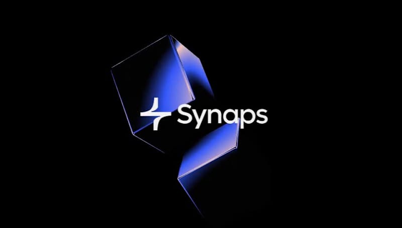 Cover image for Synaps Brand and Landing Page Development