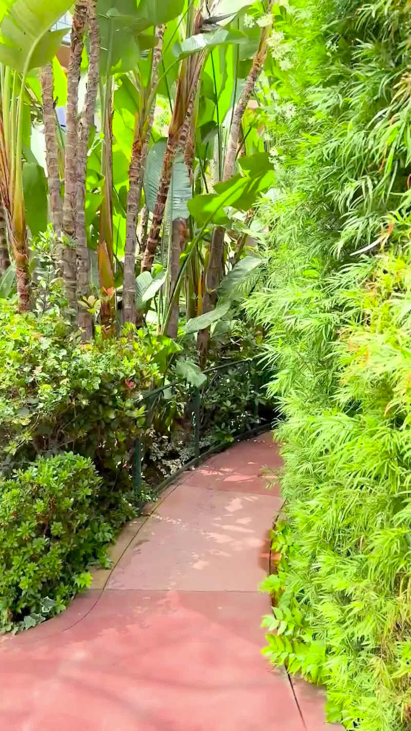 Cover image for Editorial Social Reel – Narrative