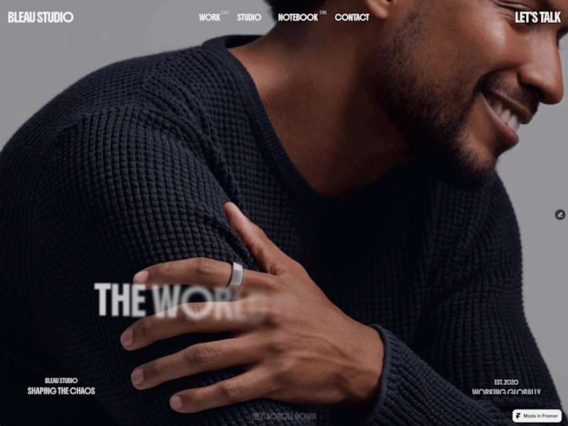 Cover image for Bleau Agency Portfolio Website Design & Development