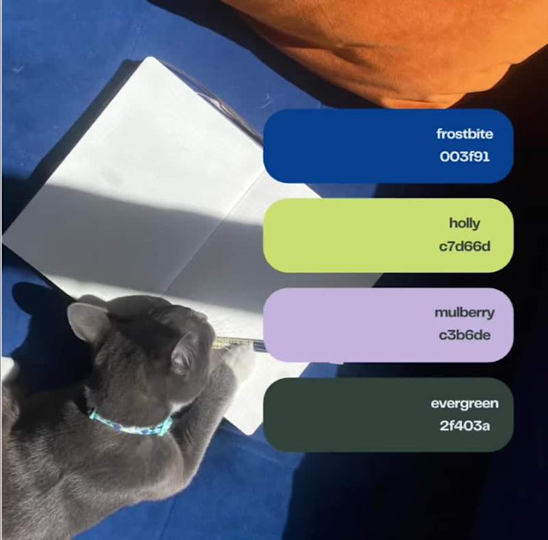 Cover image for Versatile branding, a focus for productivity products. Refle...