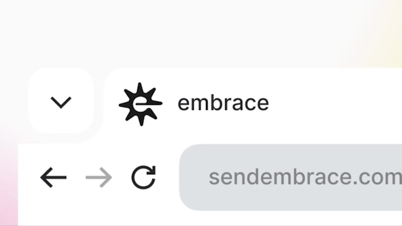 Cover image for embrace - Branding & Identity