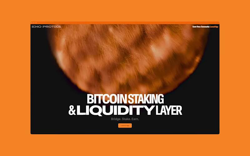 Cover image for Website Design for Echo Protocol 