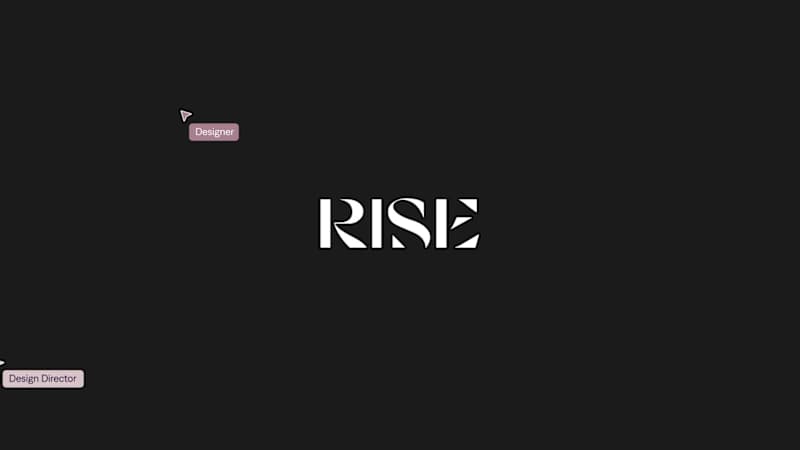 Cover image for ⚡️ Teamed up with Userise.co