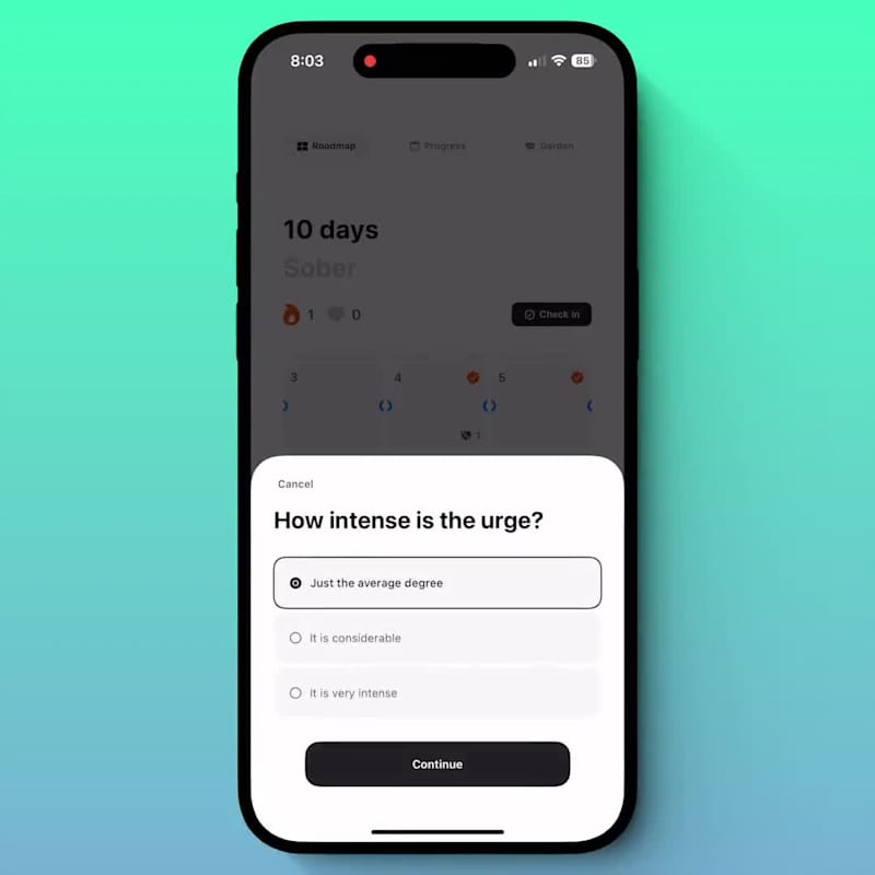 Cover image for Opting for distractions on an