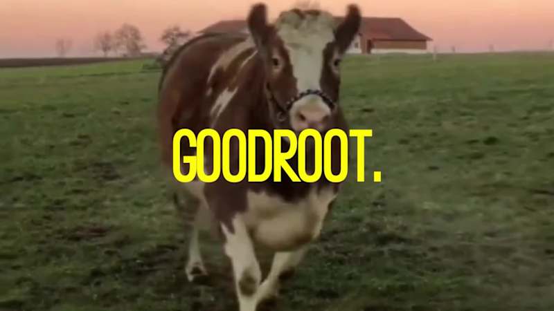 Cover image for Check out my recent project, Goodroot! Did everything from b...
