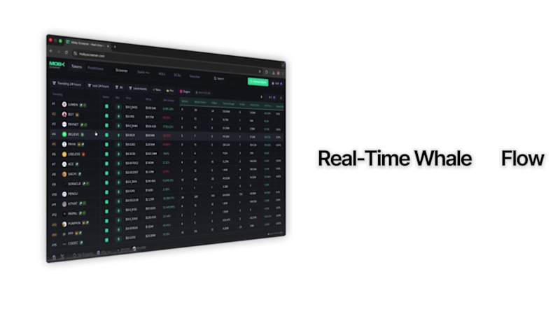 Cover image for PaceTerminal x MobyScreener Partnership Motion Commercial