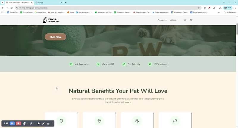 Cover image for Custom Pet Care eCommerce Store Design 