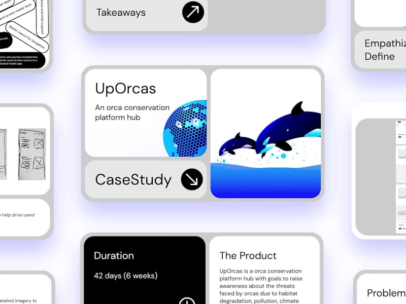 Cover image for Creation of UpOrcas Interactive Conservation Hub