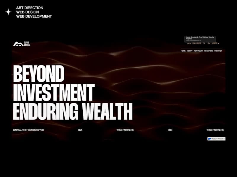 Cover image for CLYRO CAPITAL - Website Design & Development