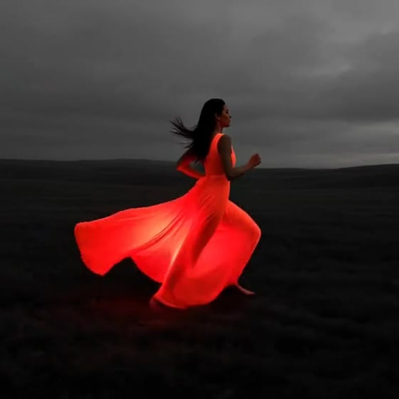 Cover image for "Not all those who wander are lost"