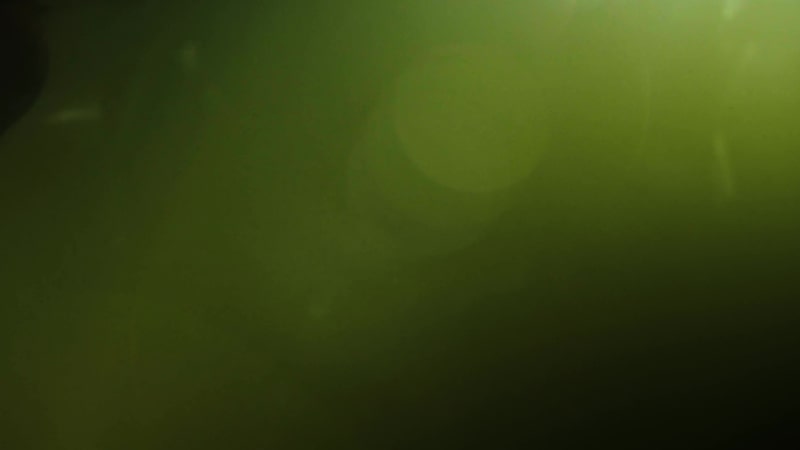 Cover image for Short trailer for music video.