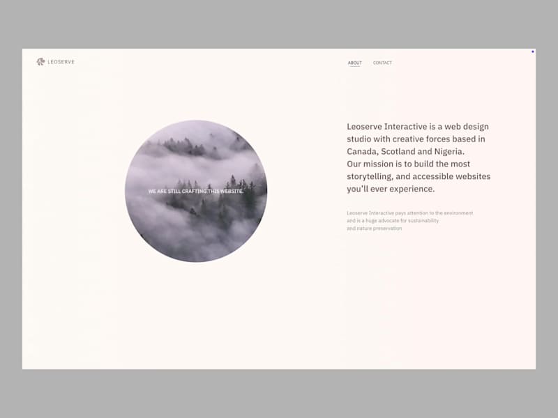 Cover image for Leoserve Agency Website Development