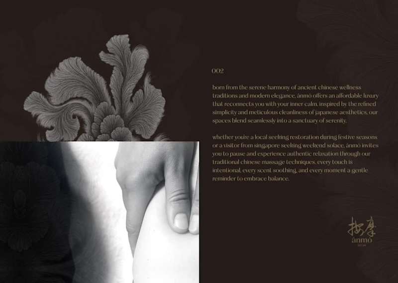 Cover image for Luxury Wellness Brand Designer | ANMO