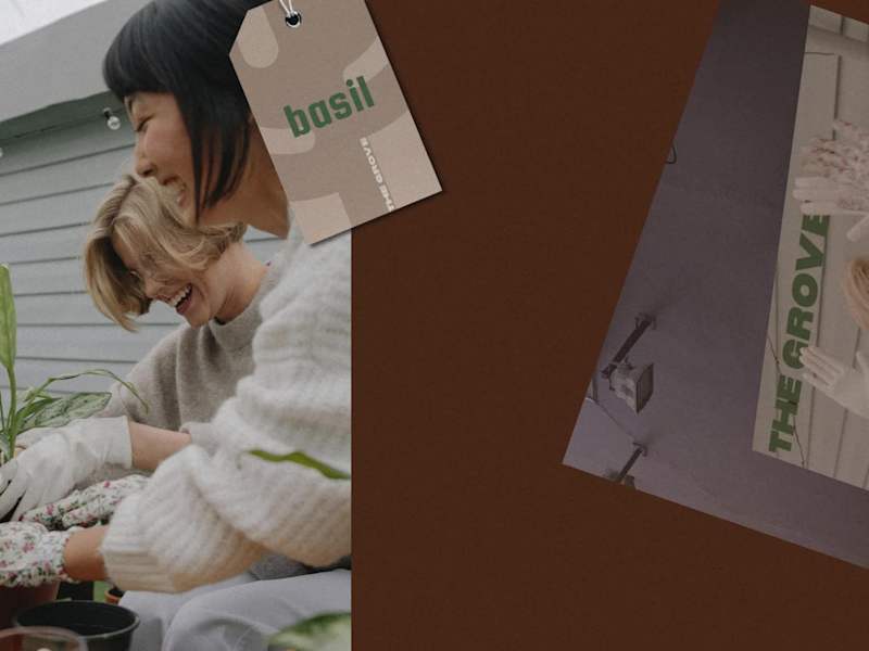 Cover image for The Grove: Brand Strategy + Identity + Assets