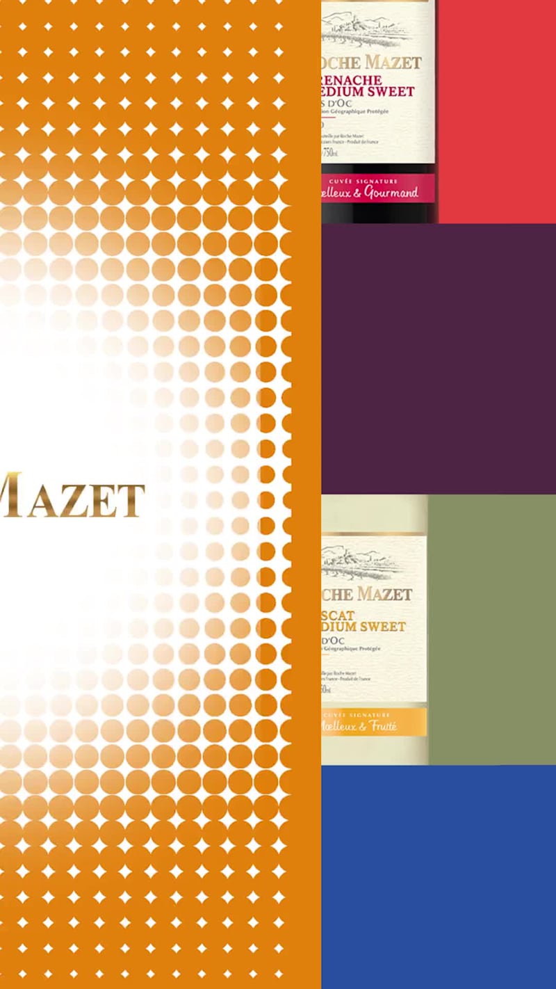 Cover image for Motion Graphic / 2D animation for Roche Mazet