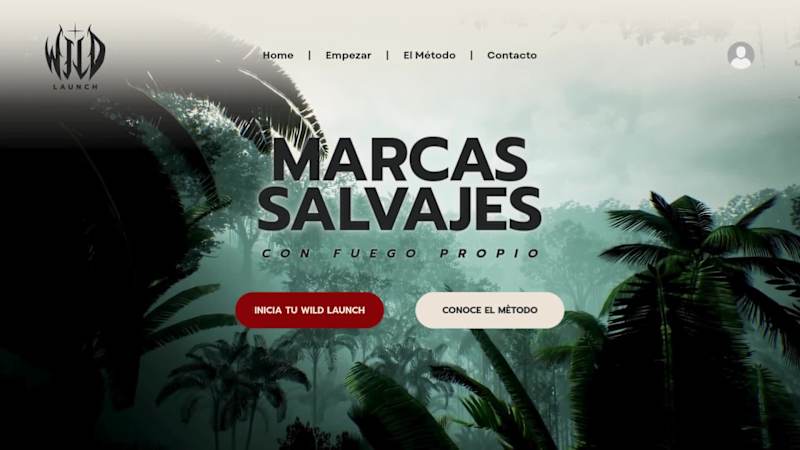 Cover image for Wild Launch: Identity Engineering for Conscious Growth