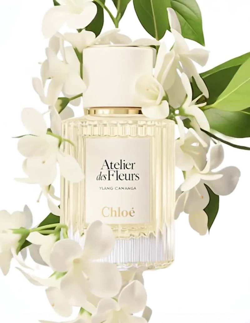 Cover image for Exploratory work around the fragrance Chloé – Atelier des Fl...