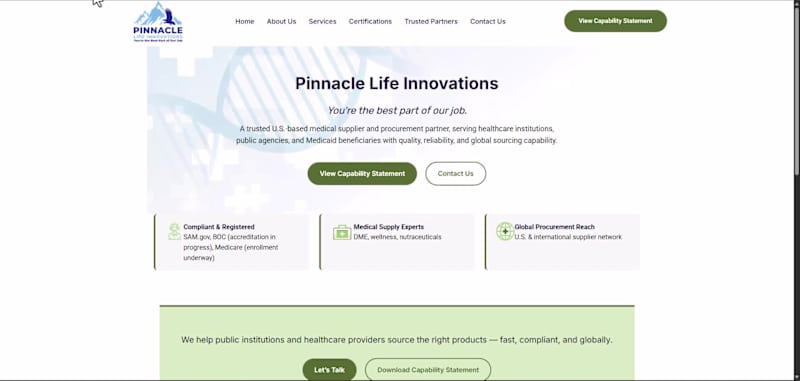 Cover image for Pinnacle Life Innovations – Website Build, Icon Suite & Domain