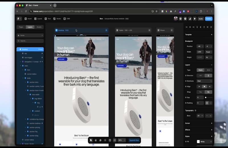 Cover image for Barc* Framer Websites | SEO-Optimized, Fast & Fully Responsive