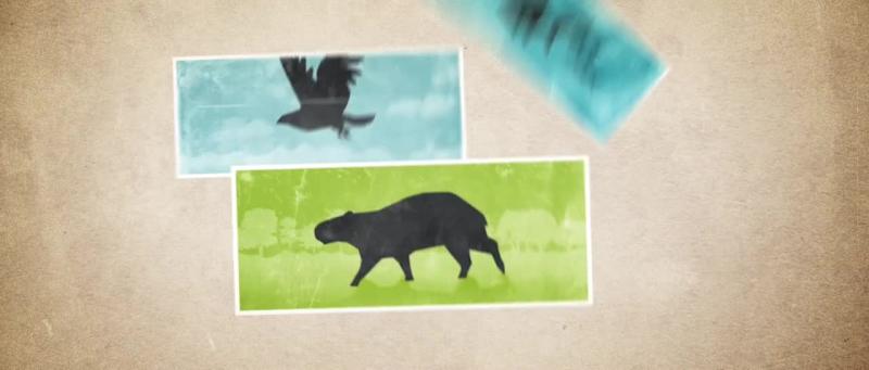 Cover image for Motiongraphics design for a Video explainer