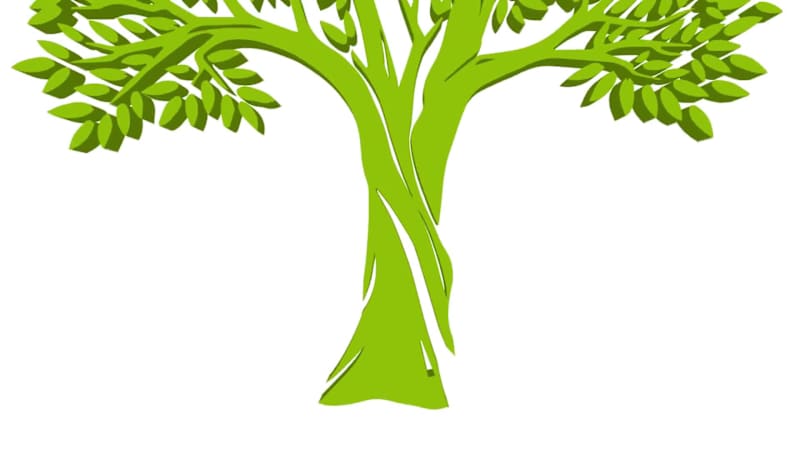 Cover image for BIBLE MOMENTS