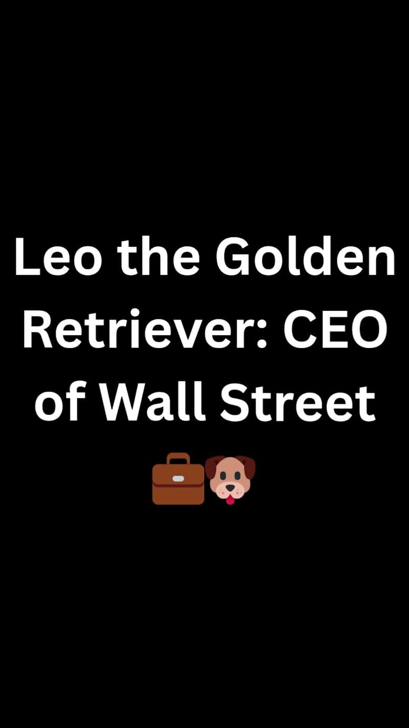 Cover image for Leo & Co. | The