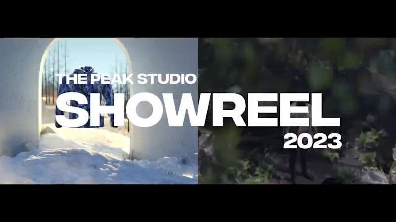 Cover image for Showreels 